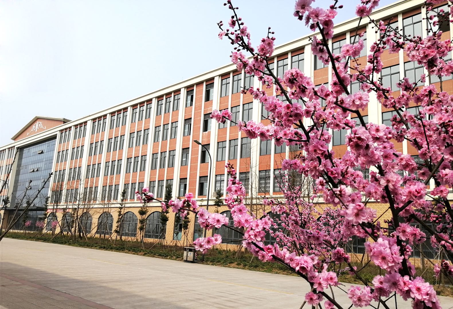 西华师范大学自考5.jpg